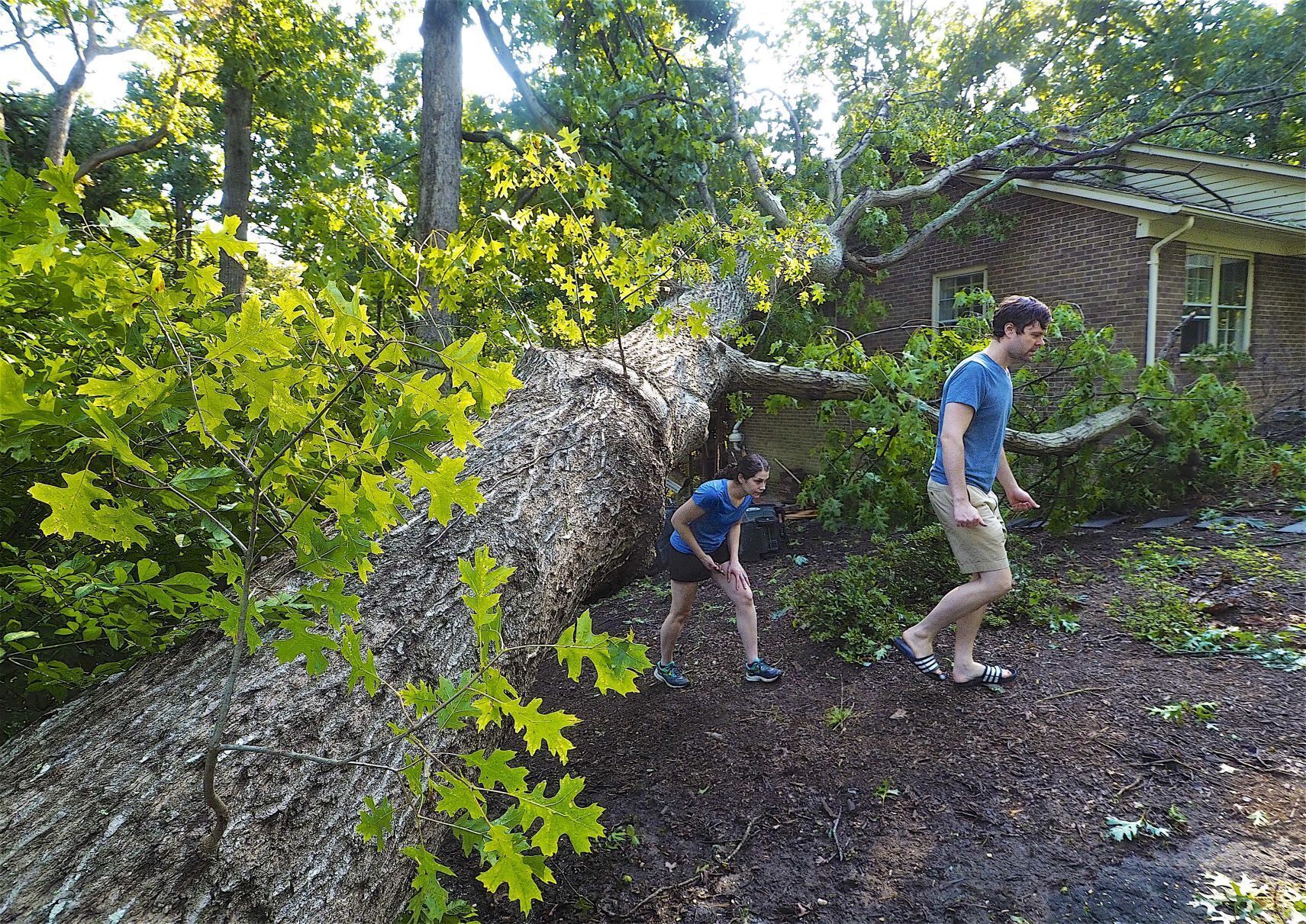 Lafayette Storm Damage